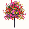 🔥 Last Day Sale Price | Turn Your Garden Into a Colorful Paradise