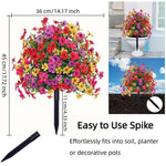 🔥 Last Day Sale Price | Turn Your Garden Into a Colorful Paradise