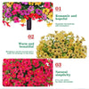 🔥 Last Day Sale Price | Turn Your Garden Into a Colorful Paradise