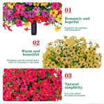 🔥 Last Day Sale Price | Turn Your Garden Into a Colorful Paradise
