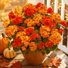 🔥 Fall Sale Today | Transform Your Porch Into an Autumn Showcase