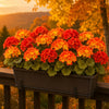 🔥 Fall Sale Today | Transform Your Porch Into an Autumn Showcase