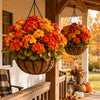 🔥 Fall Sale Today | Transform Your Porch Into an Autumn Showcase