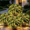 🔥 Last Day Sale Price | 💛Glowing Boston Ferns with Lights – 🌿 Zero Watering, Zero Maintenance