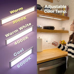 LumaSense™ Everywhere Light