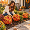 🍂 Turn Your Outdoors Into Fall — 50% Off Maple Garden Stakes