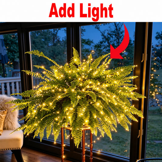 Add Fern Lights