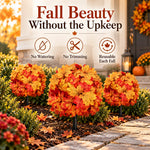 🍂 Turn Your Outdoors Into Fall — 50% Off Maple Garden Stakes
