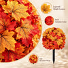 🍂 Turn Your Outdoors Into Fall — 50% Off Maple Garden Stakes