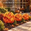 🍂 Turn Your Outdoors Into Fall — 50% Off Maple Garden Stakes