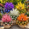 🏠🤗 Peacock Flame Hosta™ – Effortless Beauty For Shady Spaces💥