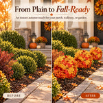 🍂 Turn Your Outdoors Into Fall — 50% Off Maple Garden Stakes