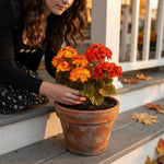 🔥 Fall Sale Today | Transform Your Porch Into an Autumn Showcase