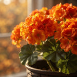 🔥 Fall Sale Today | Transform Your Porch Into an Autumn Showcase